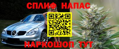 a pvp Тара