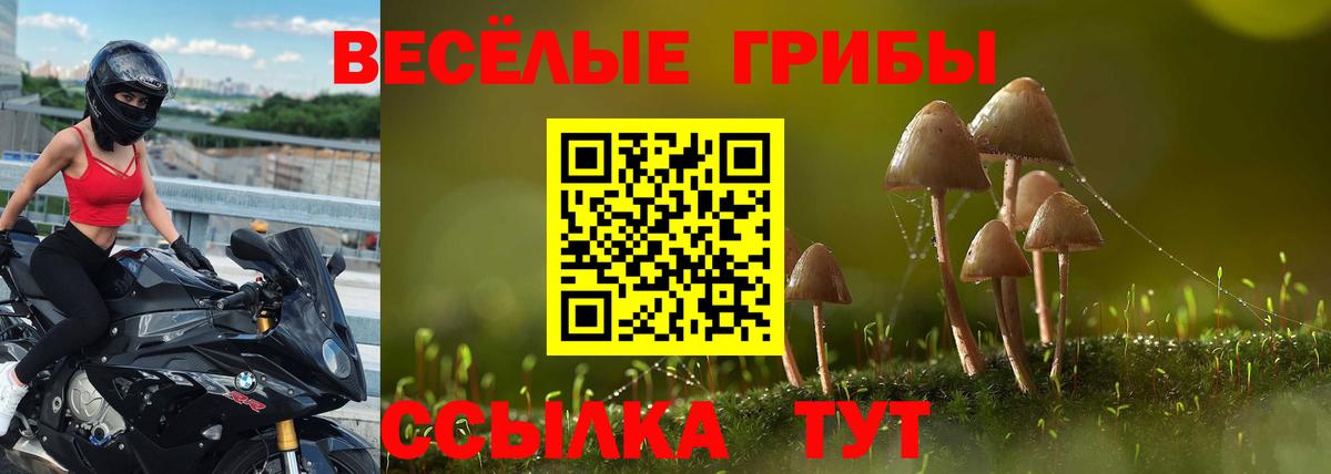 Псилоцибиновые грибы MAGIC MUSHROOMS Богородск
