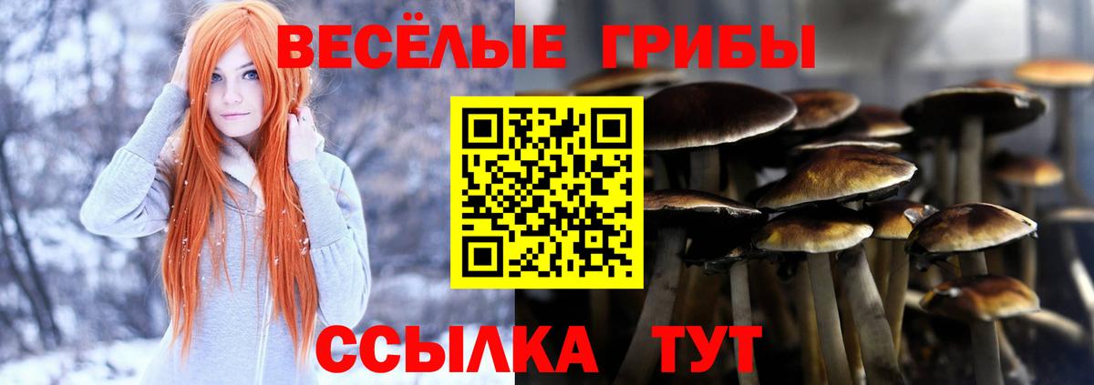 Галлюциногенные грибы мицелий  где купить наркоту  Богородск  Вход с VPN 